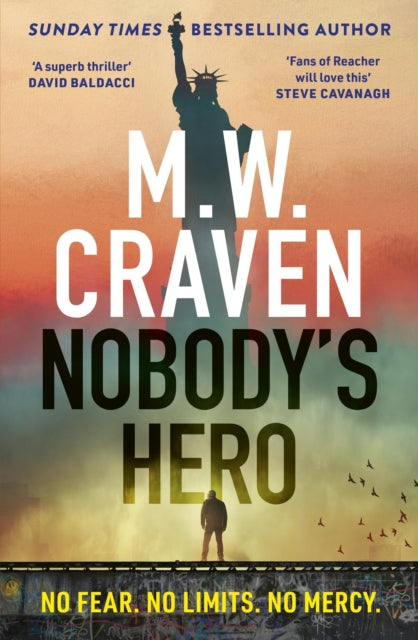 Nobody's Hero 9781408717639 M. W. Craven