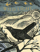 Wild Light, A printmaker’s day and night 9781408726808 Angela Harding