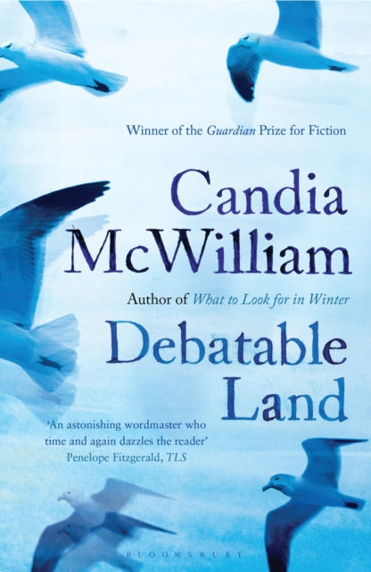 Book cover of: Debatable Land. By: Candia McWilliam