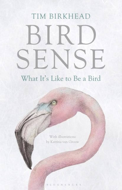 Book cover of: Bird Sense. By: Tim Birkhead