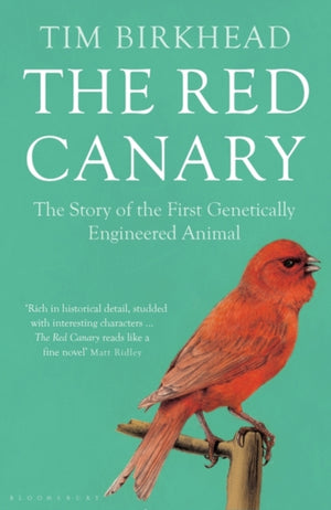 Red Canary