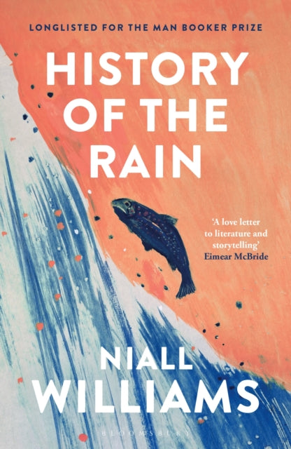 Book cover of: History of the Rain. By: Niall Williams