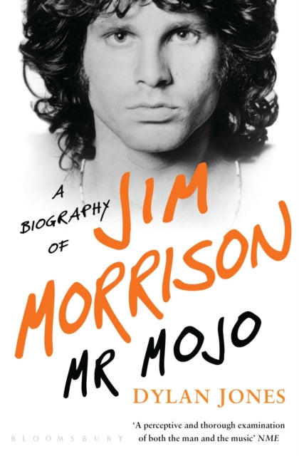Book cover of: Mr Mojo. By: Dylan Jones