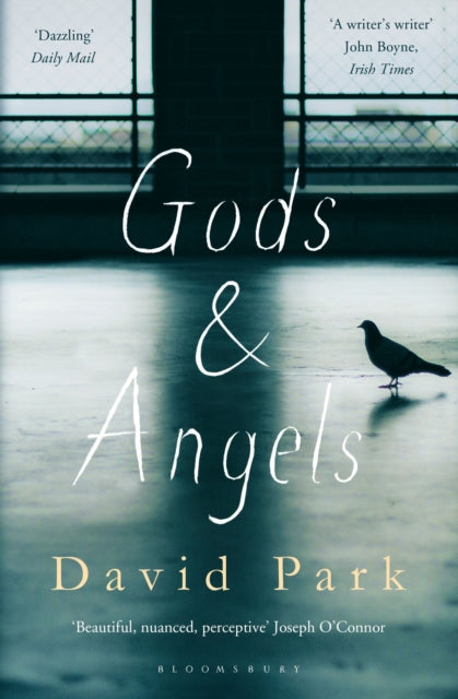 Book cover of: Gods and Angels. By: David Park
