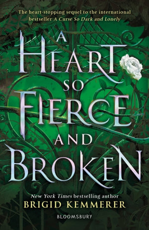 Heart So Fierce and Broken