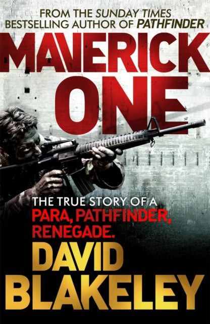 Book cover of: Maverick One. By: David Blakeley