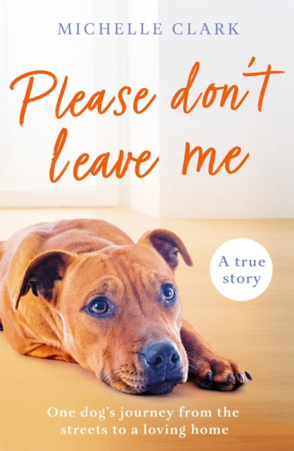 Book cover of: Please Don't Leave Me. By: Michelle Clark