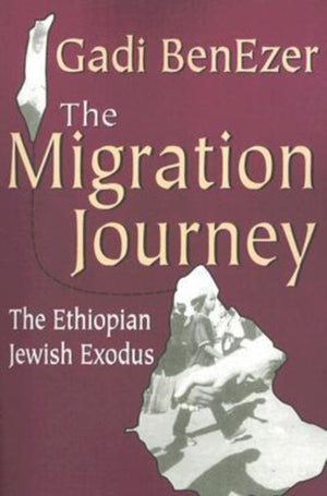Migration Journey