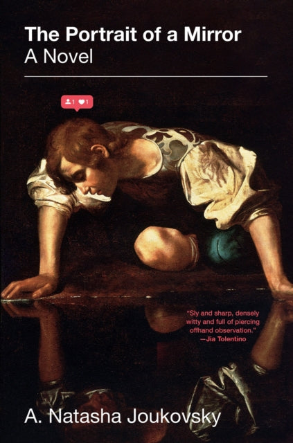 Book cover of: Portrait of a Mirror: A Novel. By: A. Natasha Joukovsky