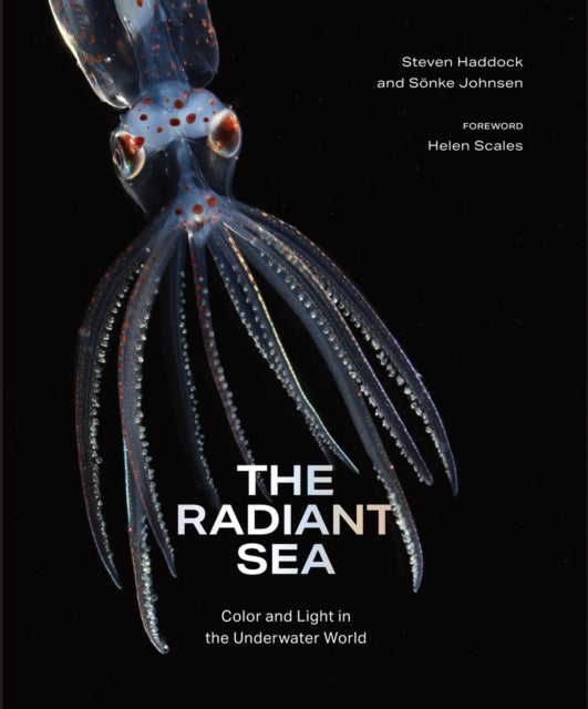 Book cover of: Radiant Sea