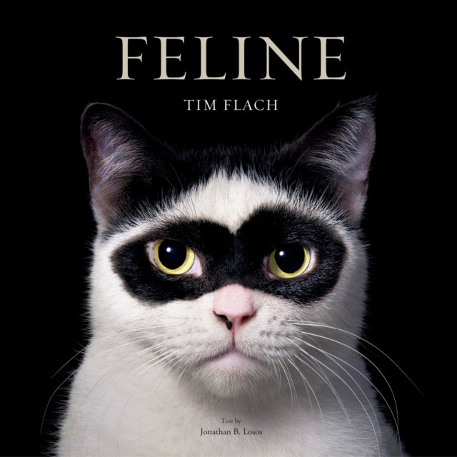 Feline, Photographs 9781419773648 FLACH, TIM