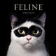 Feline, Photographs 9781419773648 FLACH, TIM