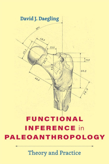 Book cover of: Functional Inference in Paleoanthropology. By: David J. Daegling