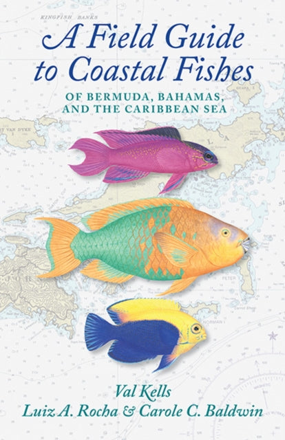 Book cover of: Field Guide to Coastal Fishes of Bermuda, Bahamas, and the Caribbean Sea. By: Valerie A. Kells