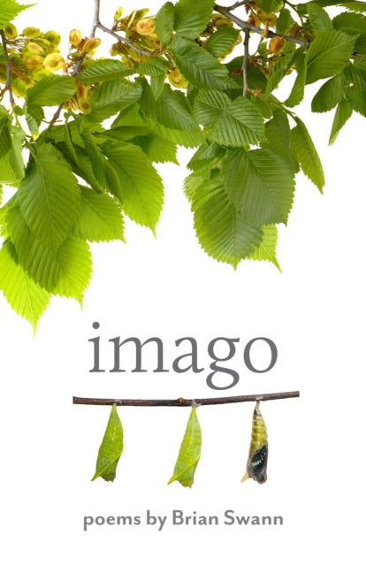 Book cover of: Imago. By: Brian Swann