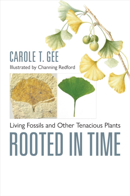 Book cover of: Rooted in Time. By: Carole T. Gee