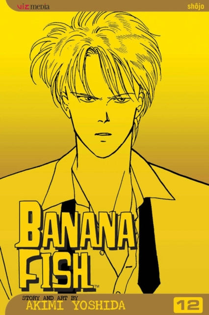Book cover of: Banana Fish, Vol. 12. By: Akimi Yoshida
