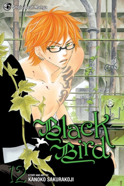Black Bird, Vol. 12