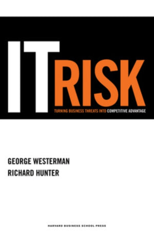 IT Risk