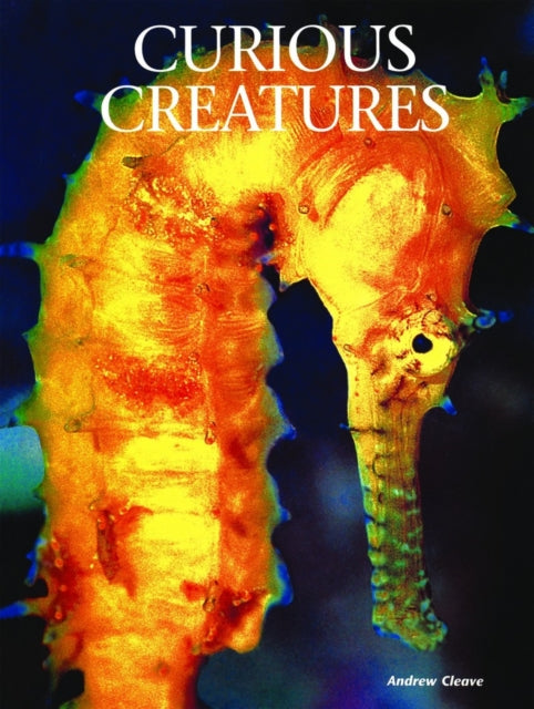 Book cover of: Curious Creatures