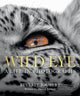 Book cover of: Wild Eye. By: JOUBERT, BEVERLY
