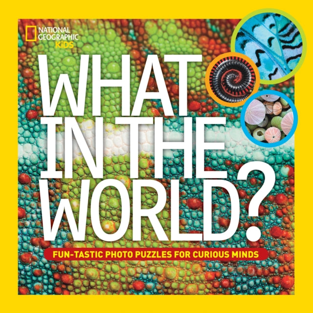 Book cover of: What in the World?. By: Julie Vosburgh Agnone