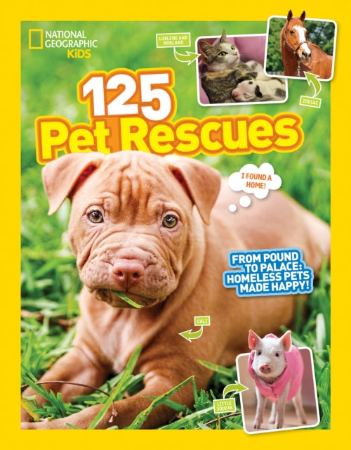 Book cover of: 125 Pet Rescues