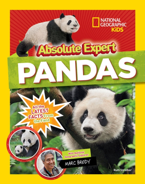 Book cover of: Absolute expert: Pandas