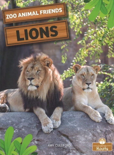 Book cover of: Lions. By: Amy Culliford