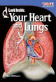 Book cover of: Look Inside