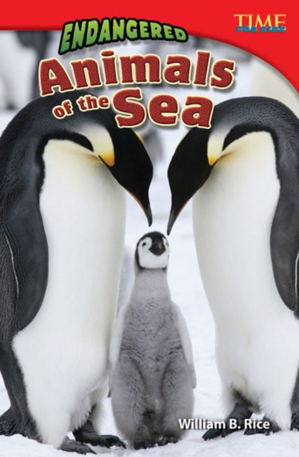 Book cover of: Endangered Animals of the Sea. By: William B. Rice