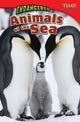 Book cover of: Endangered Animals of the Sea. By: William B. Rice
