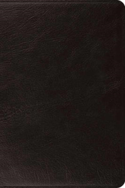 Book cover of: ESV Large Print Bible. By: Spck