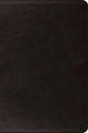 Book cover of: ESV Large Print Bible. By: Spck
