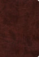 Book cover of: ESV Super Giant Print Bible. By: ESV Bibles by Crossway