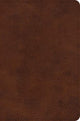 Book cover of: ESV Large Print Bible