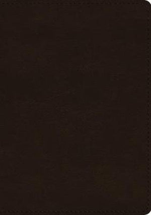 ESV Single Column Journaling Bible, Large Print