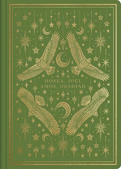 Book cover of: ESV Illuminated Scripture Journal