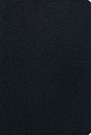 ESV Men's Study Bible