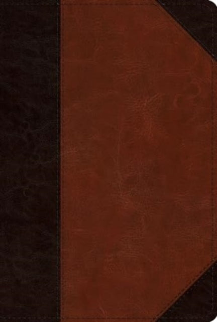 Book cover of: ESV Men's Study Bible. By: Sam Storms