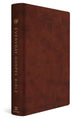 Book cover of: ESV Everyday Gospel Bible. By: Paul David Tripp