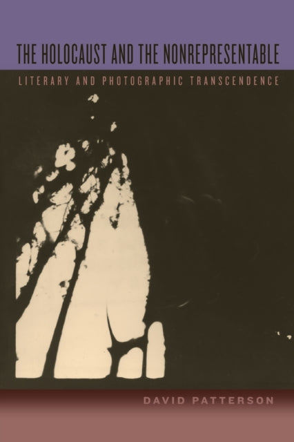 Book cover of: Holocaust and the Nonrepresentable. By: David Patterson