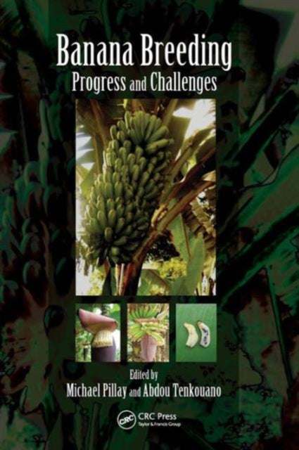 Book cover of: Banana Breeding. By: Michael Pillay
