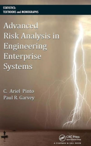Advanced Risk Analysis in Engineering Enterprise Systems