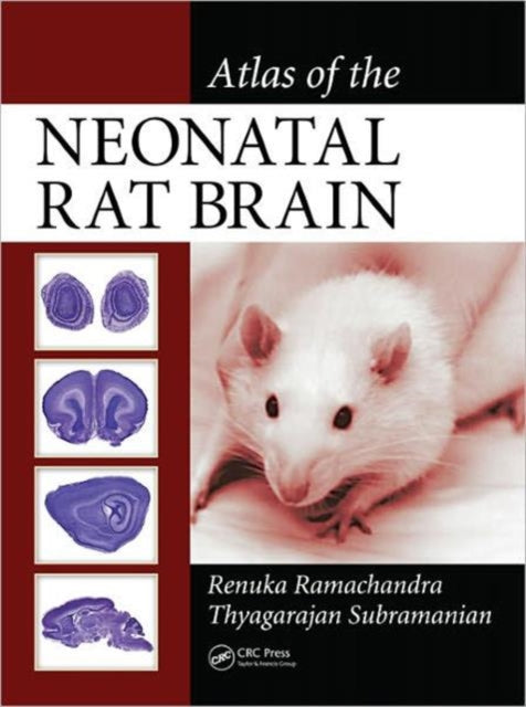 Book cover of: Atlas of the Neonatal Rat Brain. By: Renuka Ramachandra