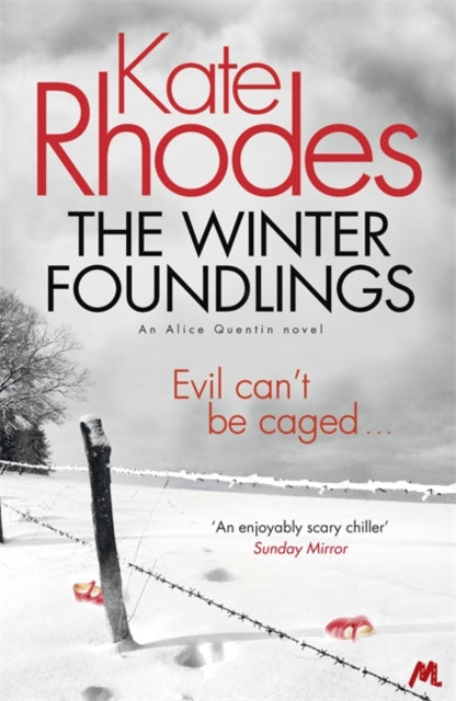 Book cover of: Winter Foundlings. By: Kate Rhodes