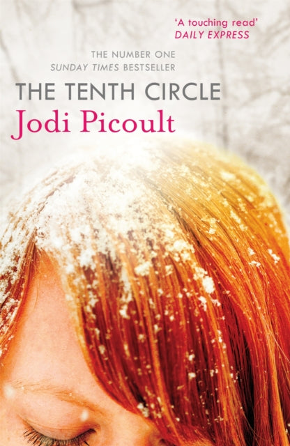 Book cover of: Tenth Circle. By: Jodi Picoult