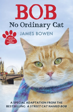 Bob, No Ordinary Cat