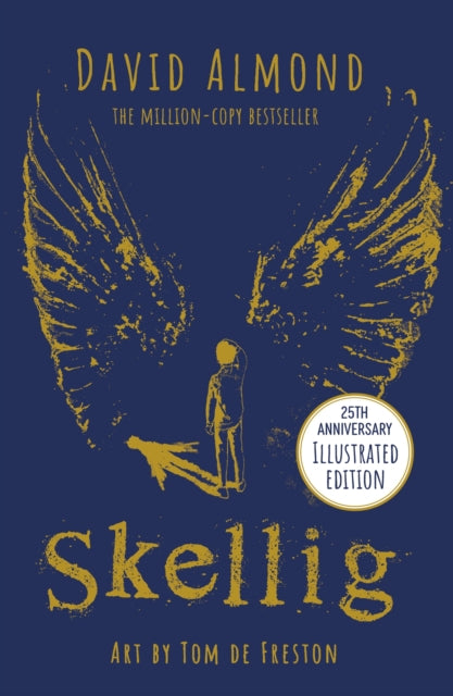 Skellig: the 25th anniversary illustrated edition 9781444967784 David Almond