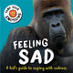 Book cover of: Tame Your Emotions: Feeling Sad. By: Susie Williams
